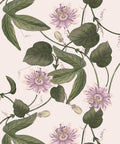 Passiflora Wallpaper, Beige
