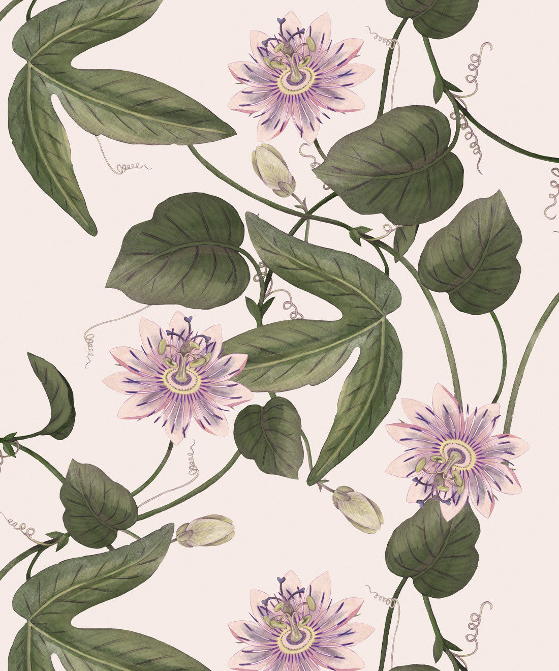 Passiflora Wallpaper, Beige