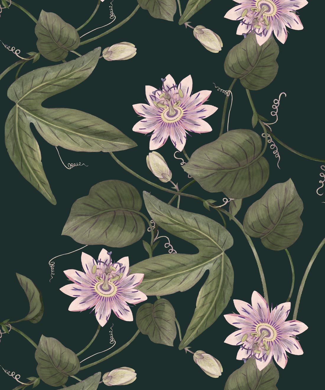 Passiflora Wallpaper, Dark Green