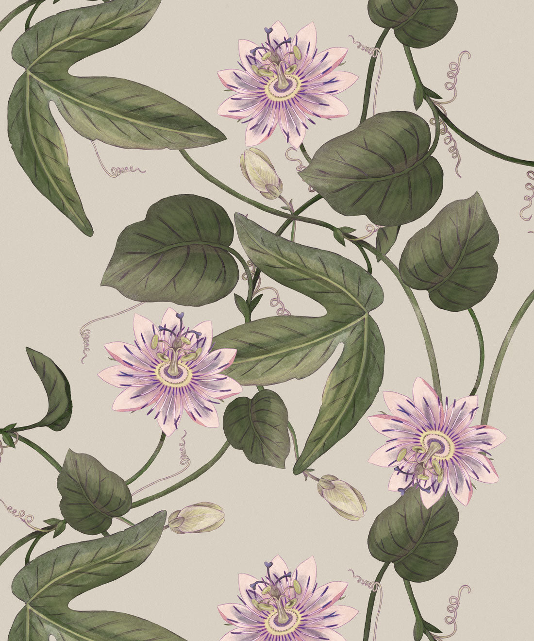 Passiflora Wallpaper, Stone