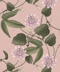 Passiflora Wallpaper, Warm Pink