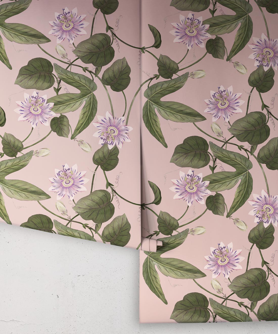 Passiflora Wallpaper, Warm Pink