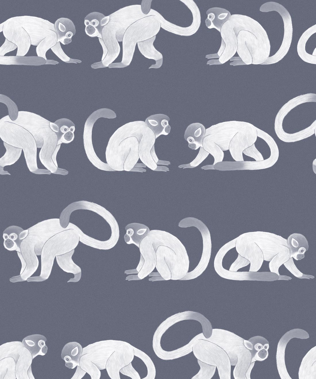 Squirrel Monkeys Wallpaper, Blue