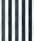 Fresco Stripe Wallpaper, Charcoal