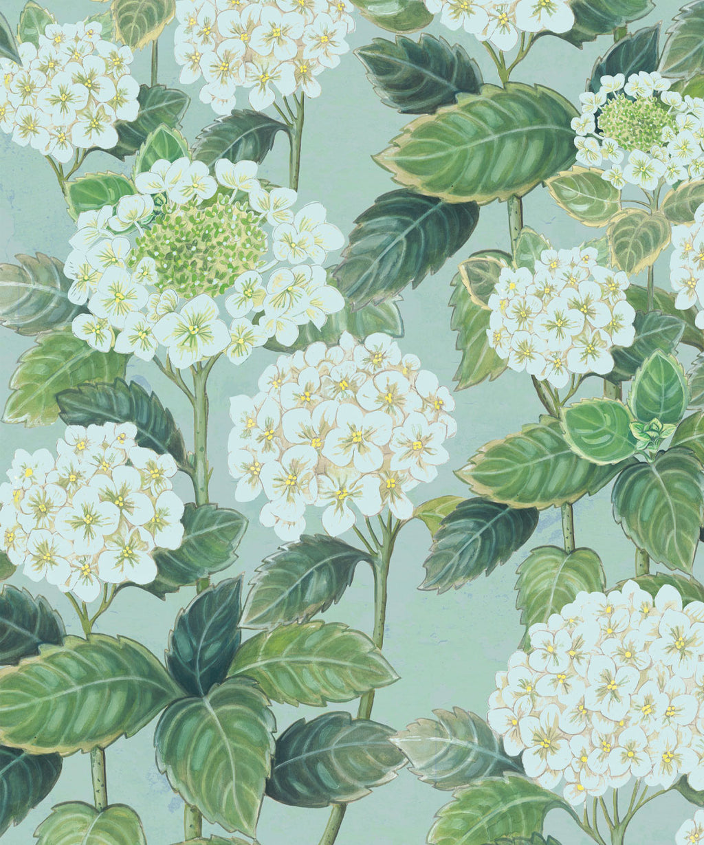 Hydrangea Garden Wallpaper, Aqua