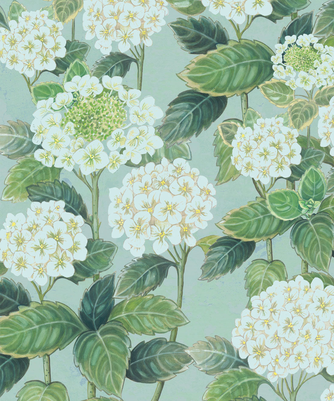 Hydrangea Garden Wallpaper, Aqua
