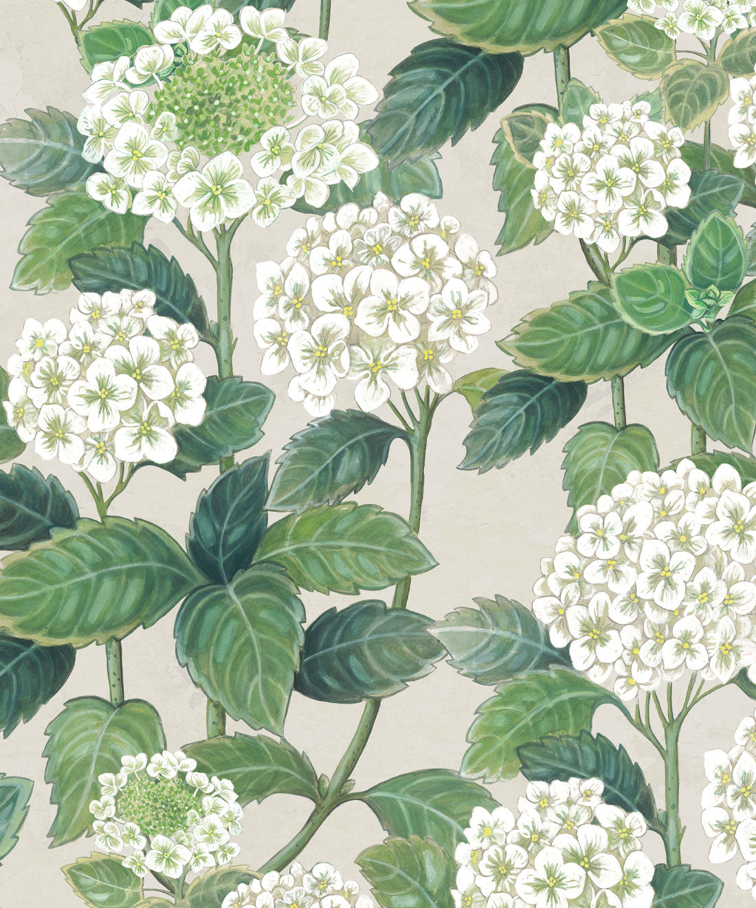 Hydrangea Garden Wallpaper, Beige