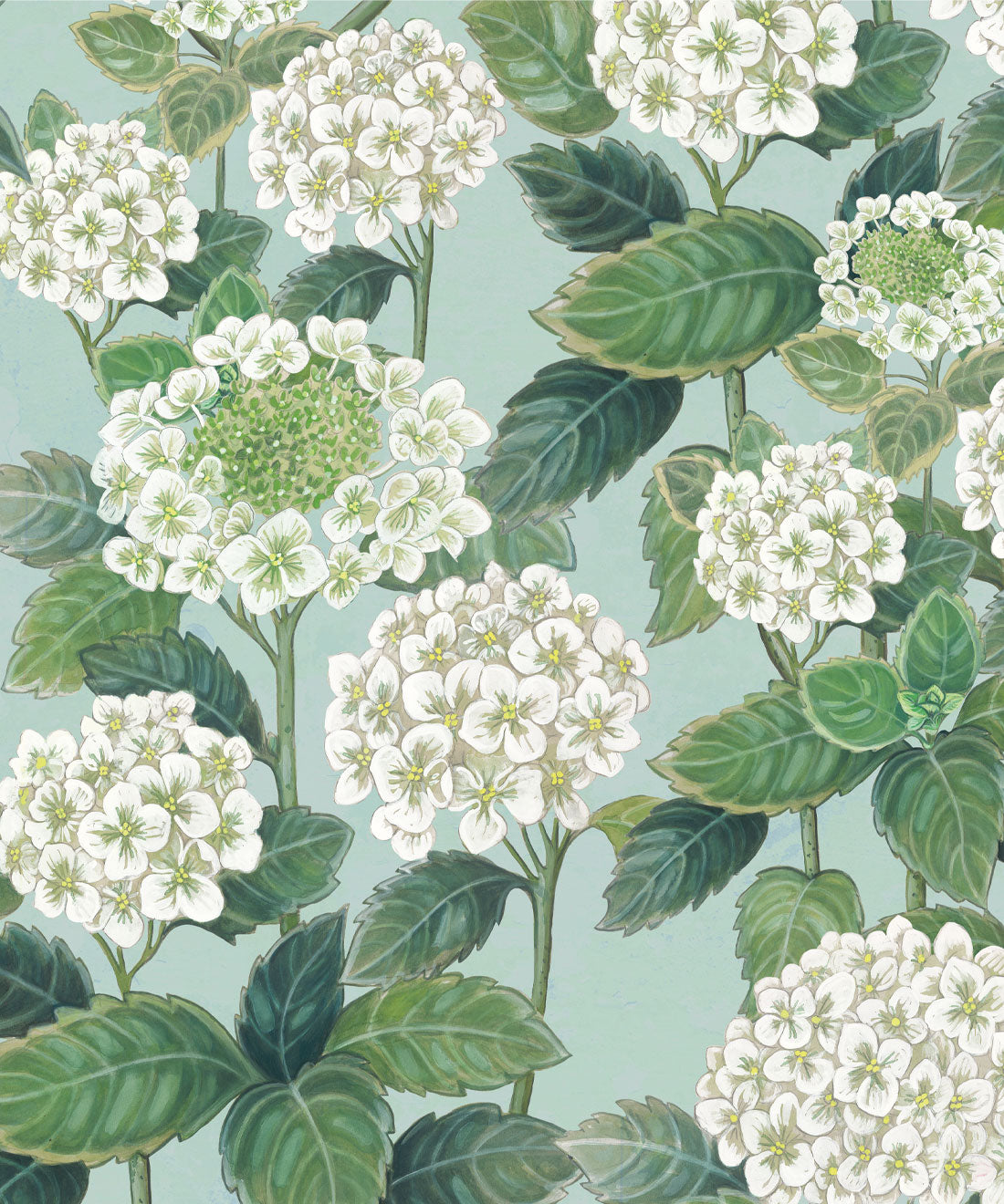 Hydrangea Garden Wallpaper, Blue & White