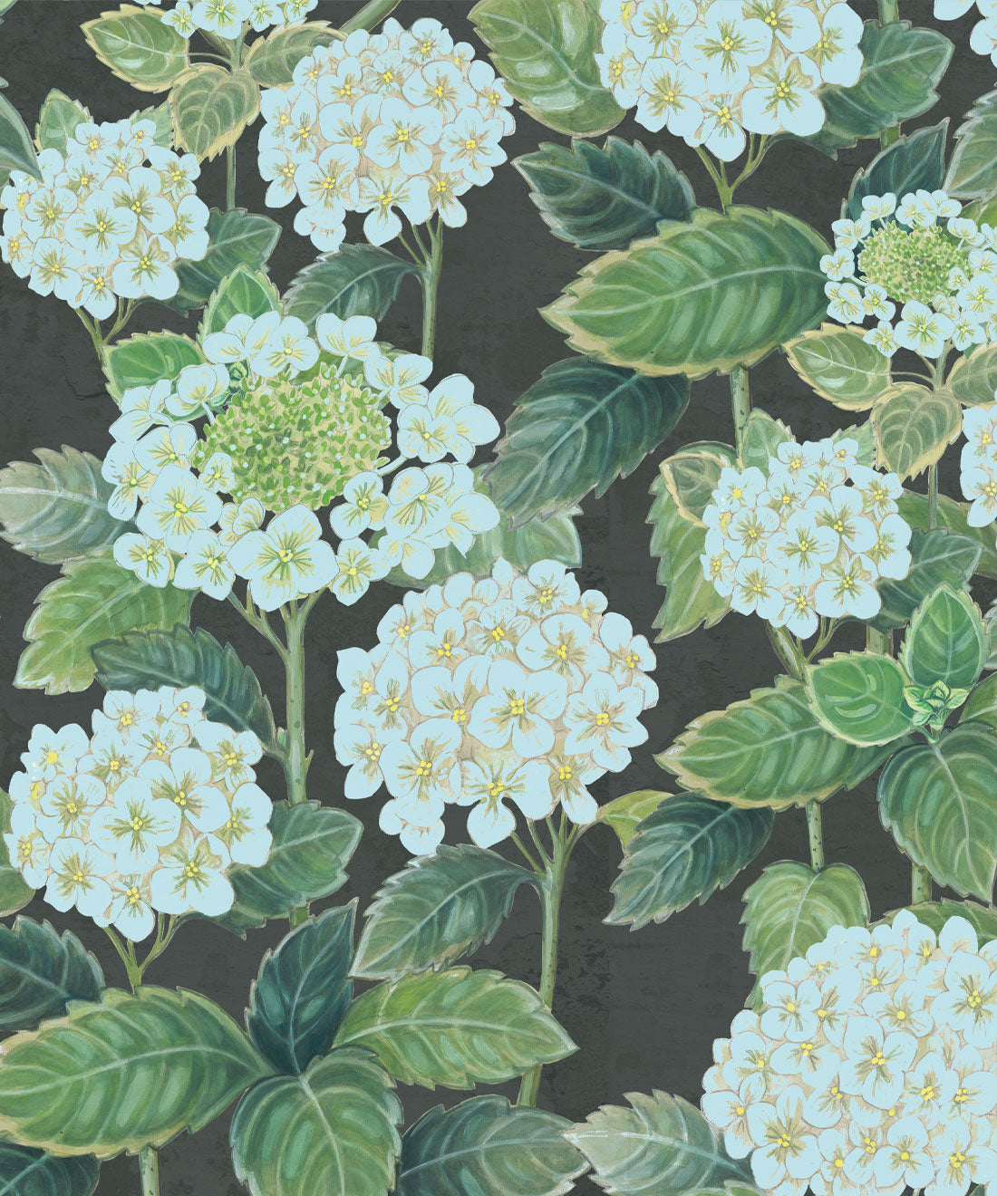 Hydrangea Garden Wallpaper, Charcoal