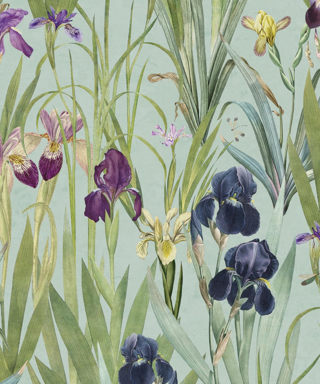 Iris Wallpaper, Blue
