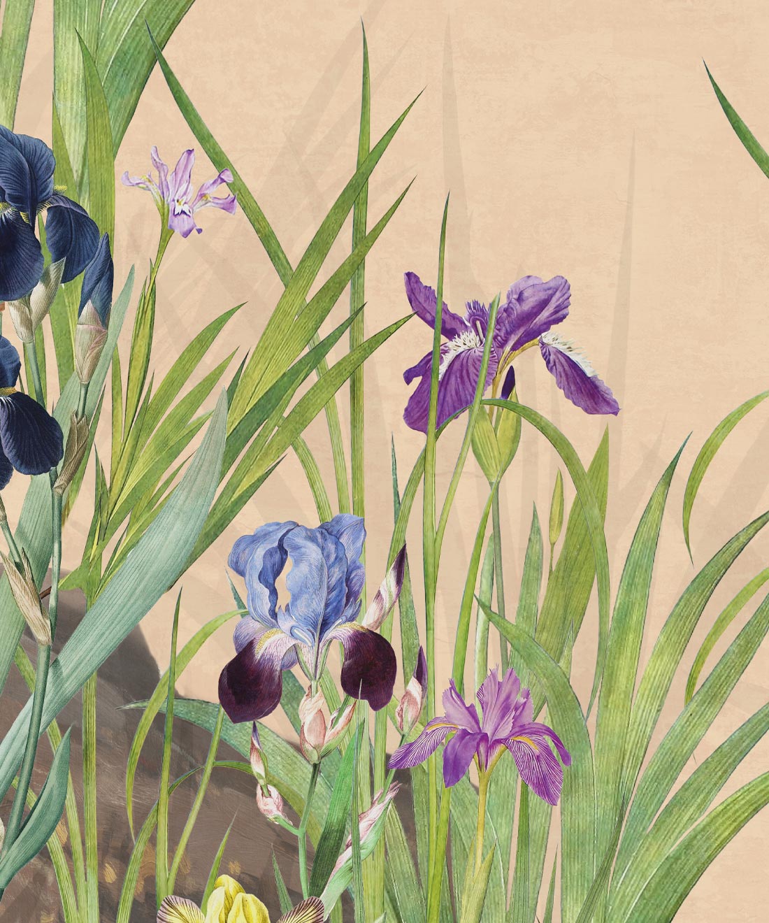 Iris Garden Mural, Pink