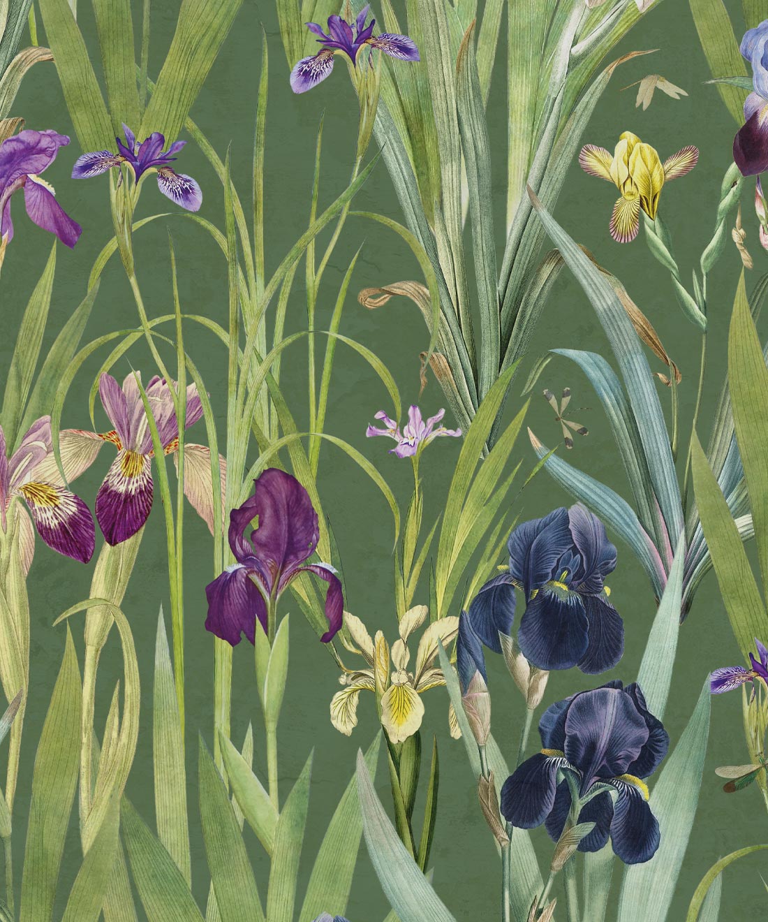 Iris Wallpaper, Green