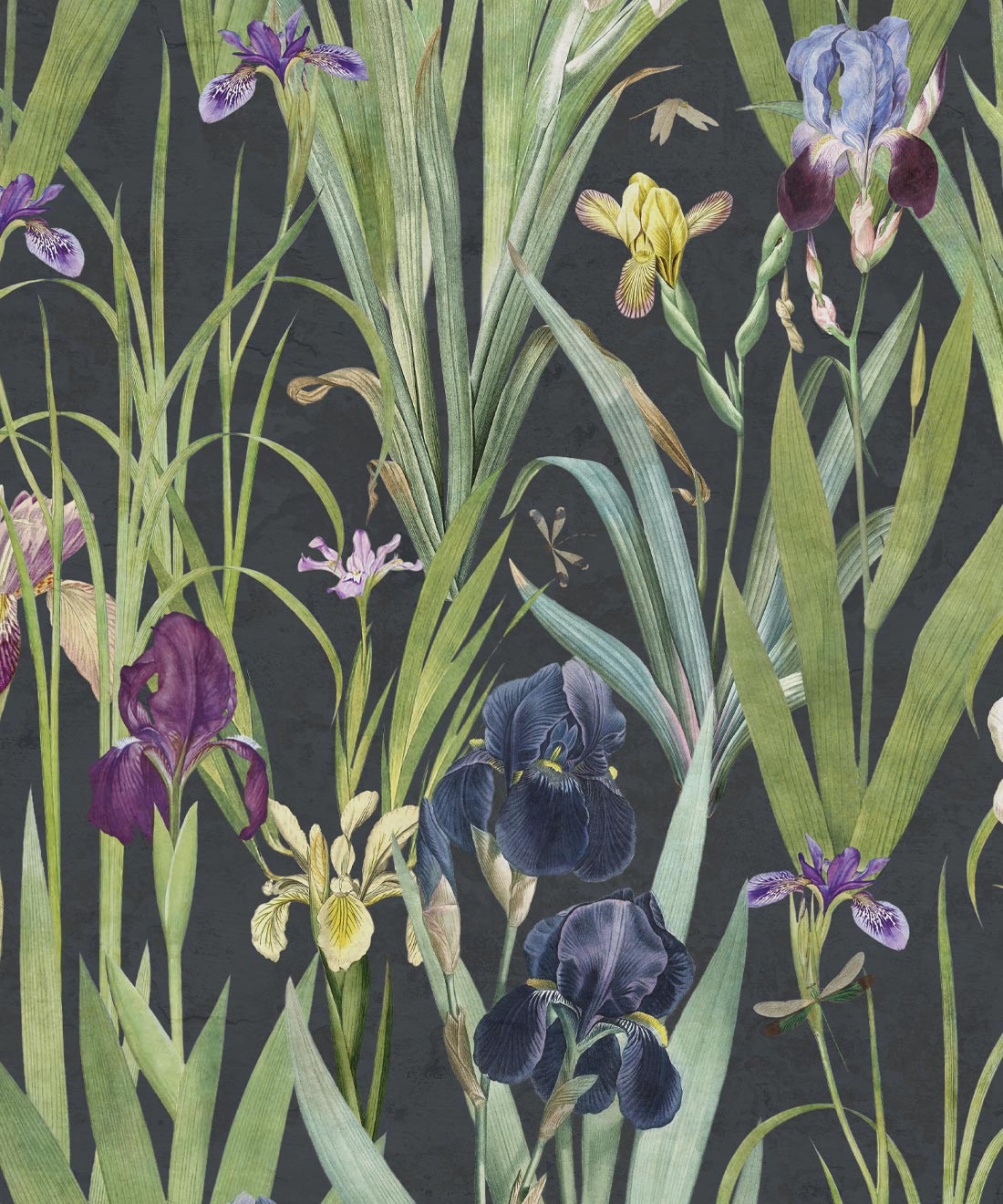 Iris Wallpaper, Navy