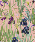 Iris Wallpaper, Pink