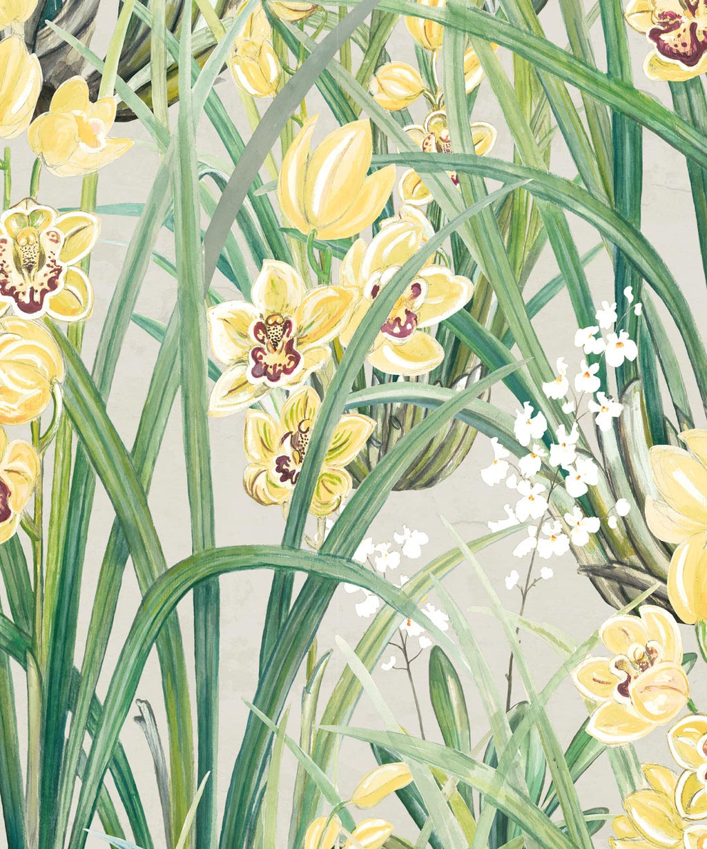 Garden Orchids Wallpaper, Yellow