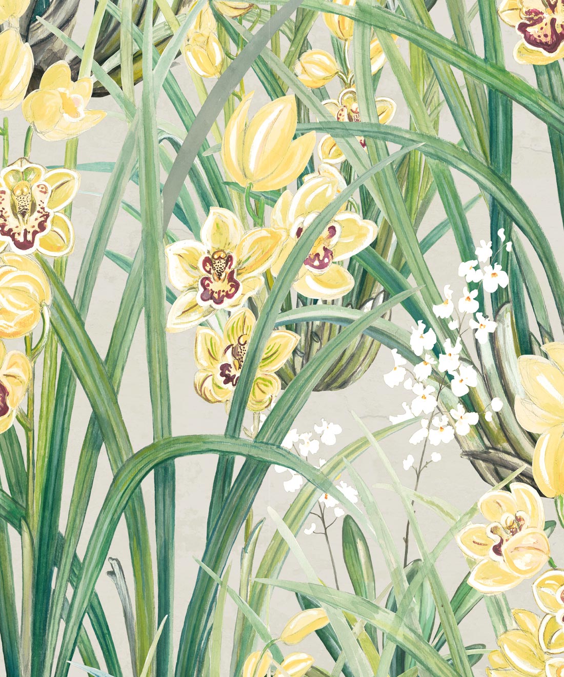 Garden Orchids Wallpaper, Yellow