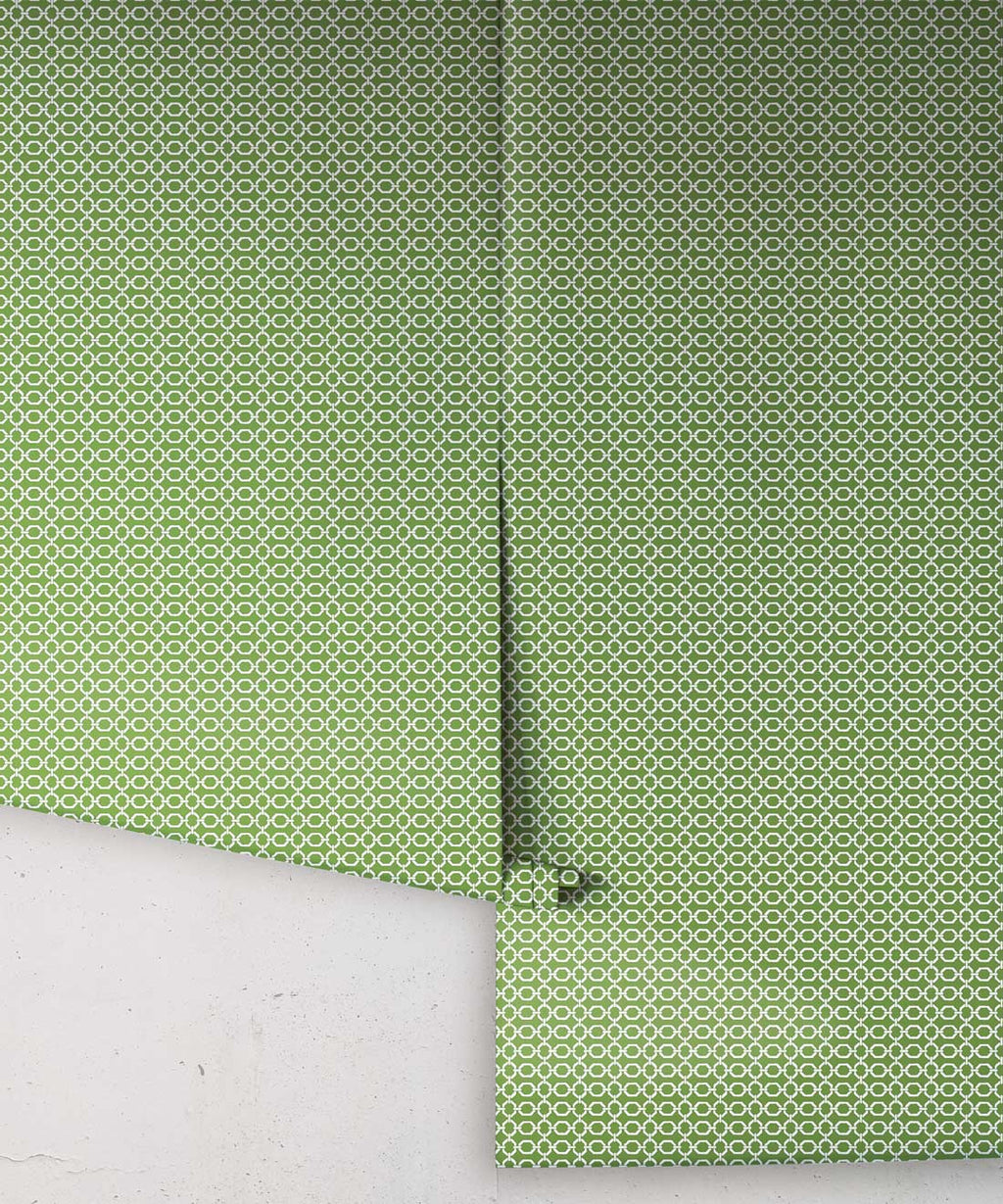 Ravello Wallpaper, Parsley
