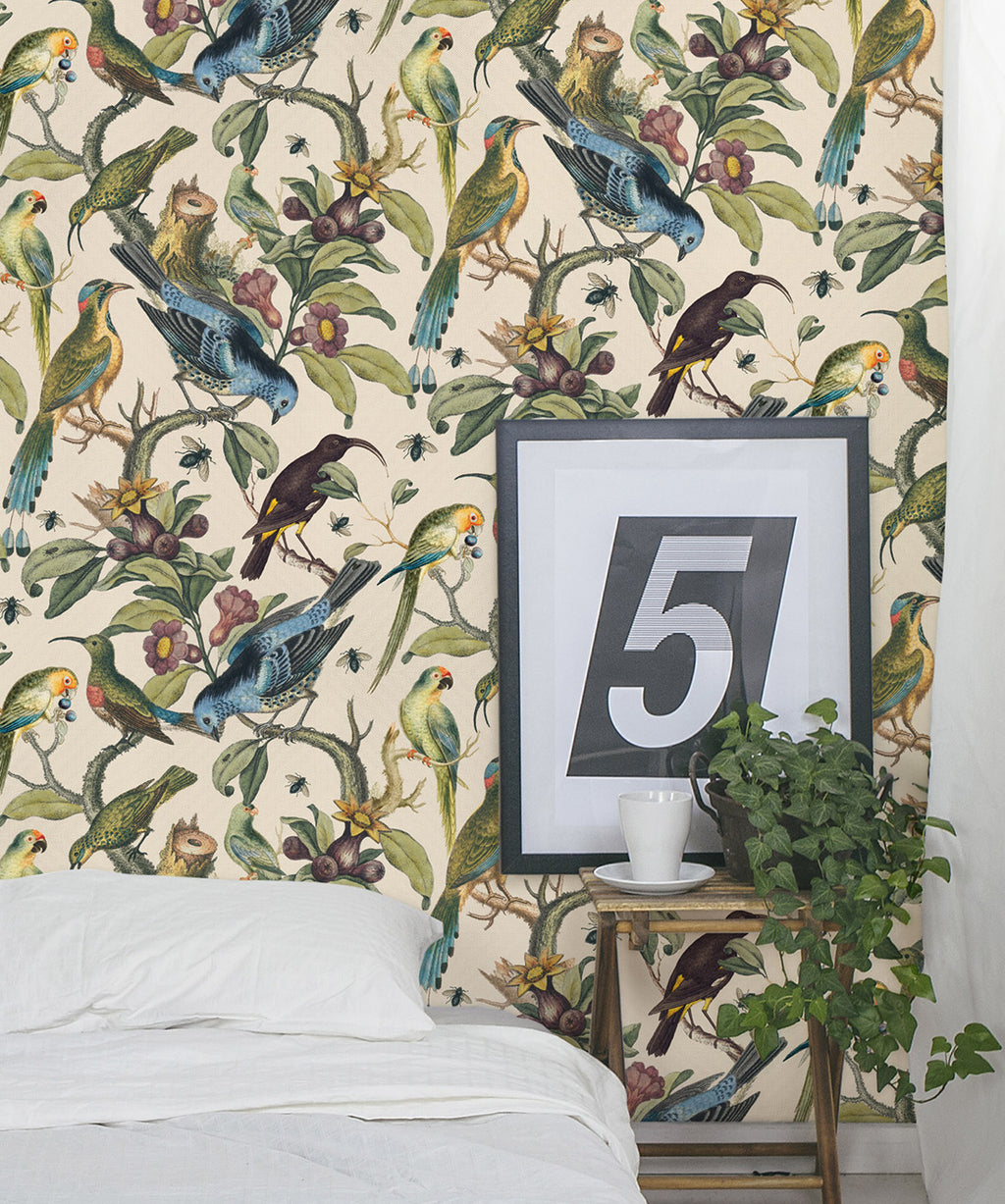 Ornithology Wallpaper