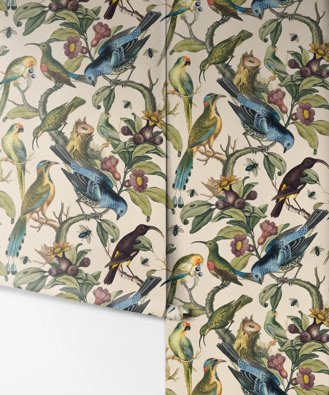 Ornithology Wallpaper