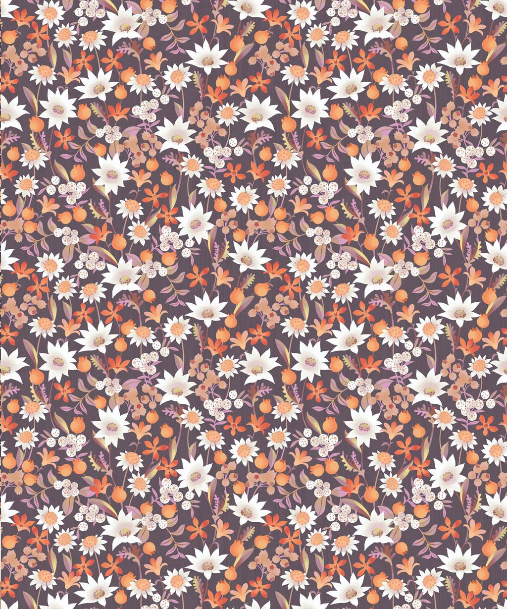 Flannel Flowers Wallpaper, Orange Muave