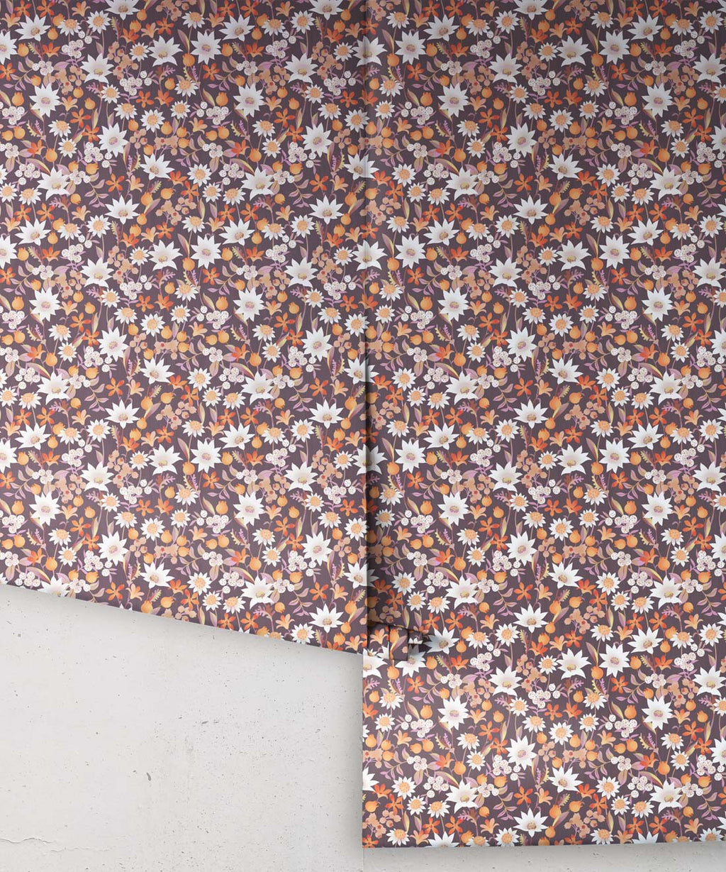 Flannel Flowers Wallpaper, Orange Muave