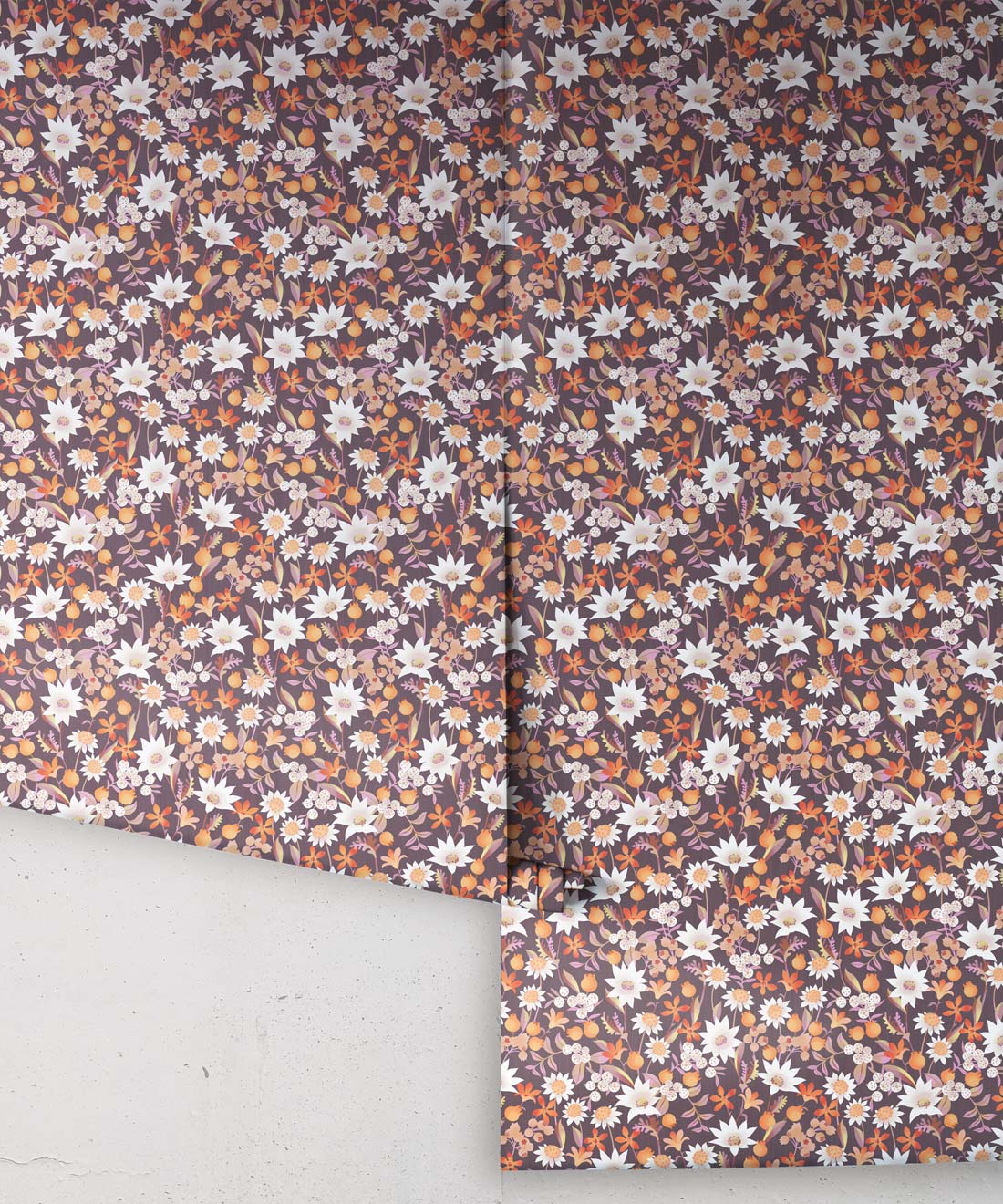 Flannel Flowers Wallpaper, Orange Muave