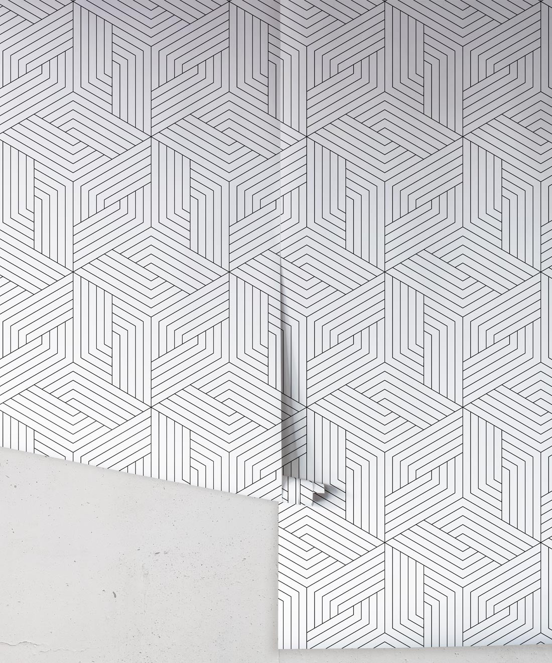 Geometric Illusions Wallpaper, Black