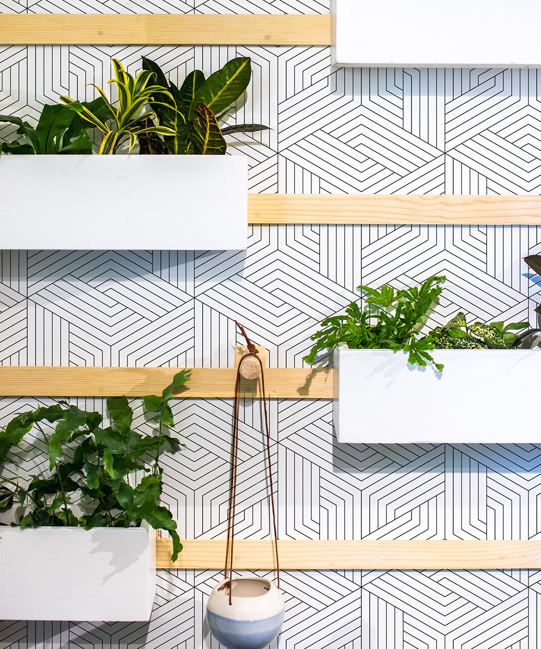 Geometric Illusions Wallpaper, Black