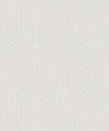 Geometric Illusions Wallpaper, Warm Grey