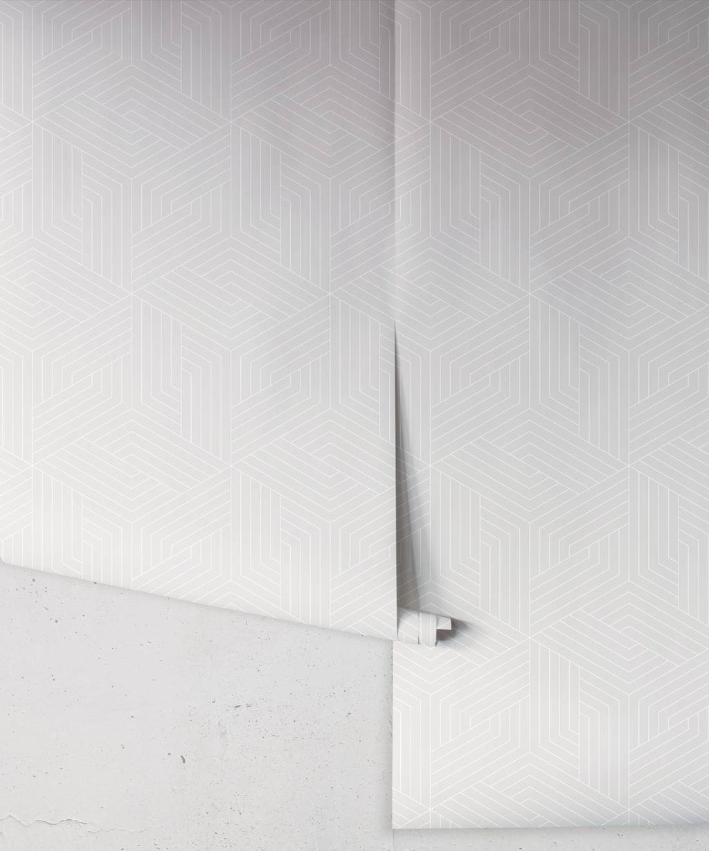 Geometric Illusions Wallpaper, Warm Grey