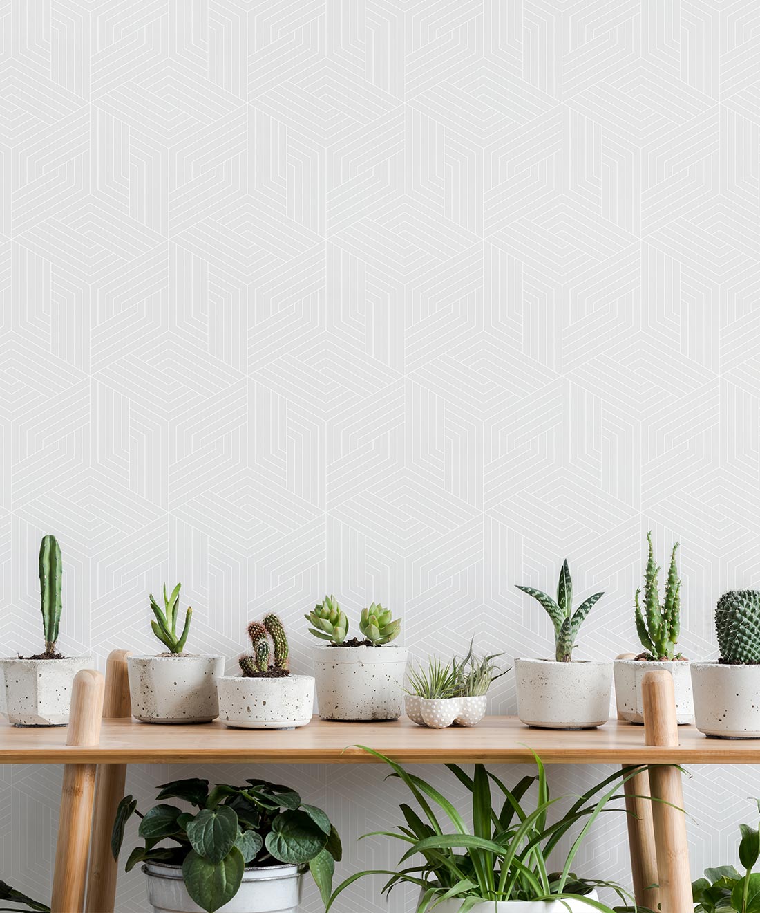 Geometric Illusions Wallpaper, Warm Grey