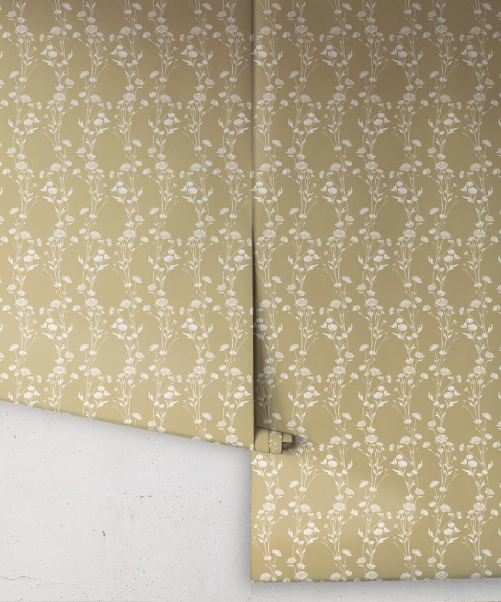 Astrantia Wallpaper, Mustard