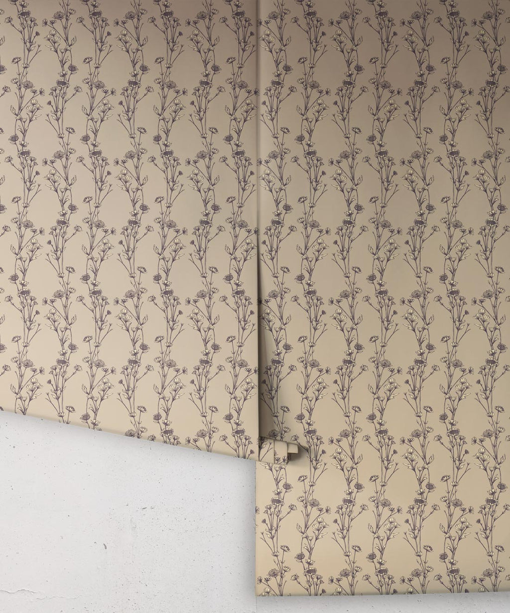 Astrantia Wallpaper, Sand
