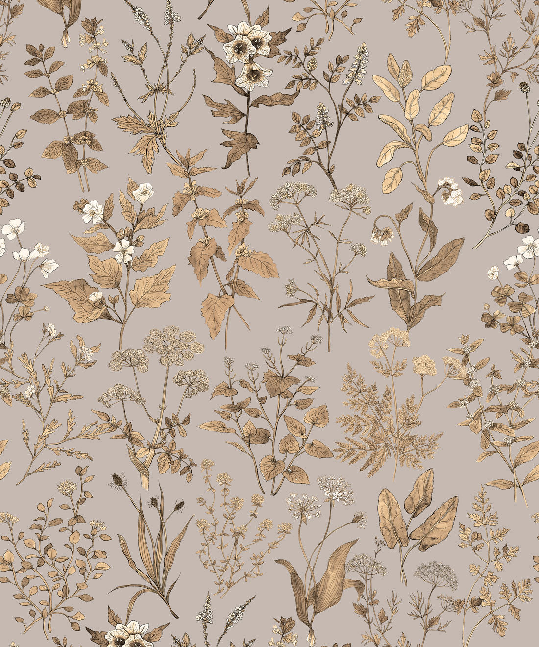 Herbarium Antique Wallpaper, Stone Grey