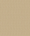 Honeycomb Geo Wallpaper, Honey