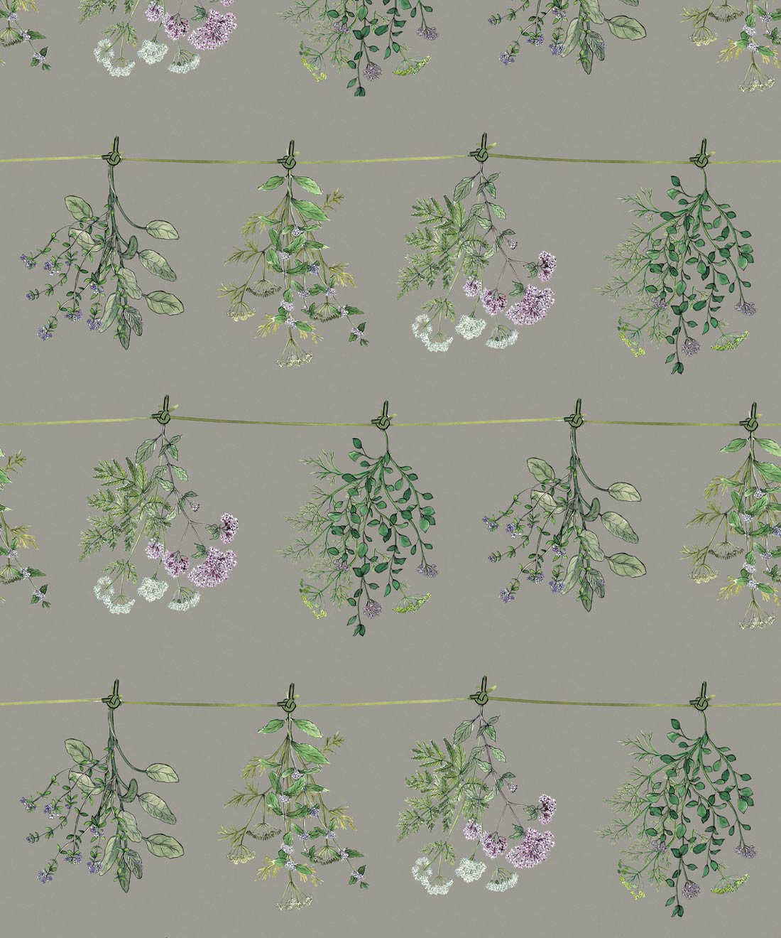 Dried Herbs Wallpaper, Sage Grey