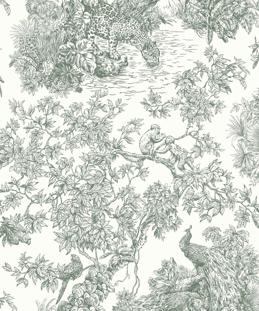 Sinharaja Wallpaper, Juniper