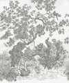 Sinharaja Mural, Gray