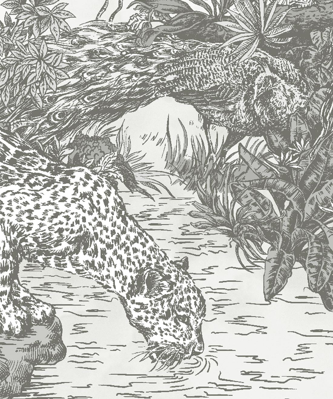 Sinharaja Mural, Gray