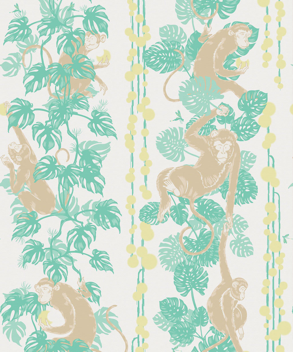 5 Monkeys Wallpaper, Hawaii