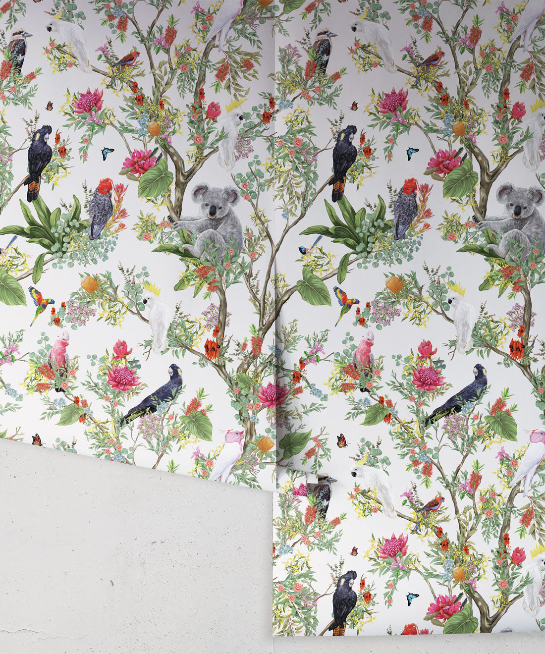 Australia Wallpaper, Canvas