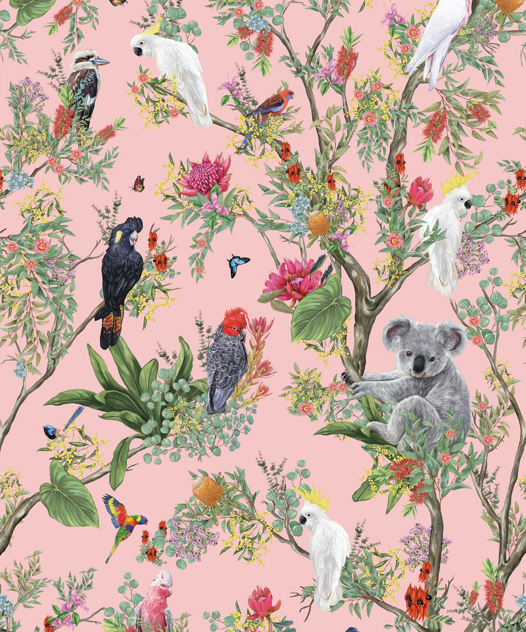 Australia Wallpaper, Coral