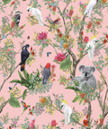 Australia Wallpaper, Coral