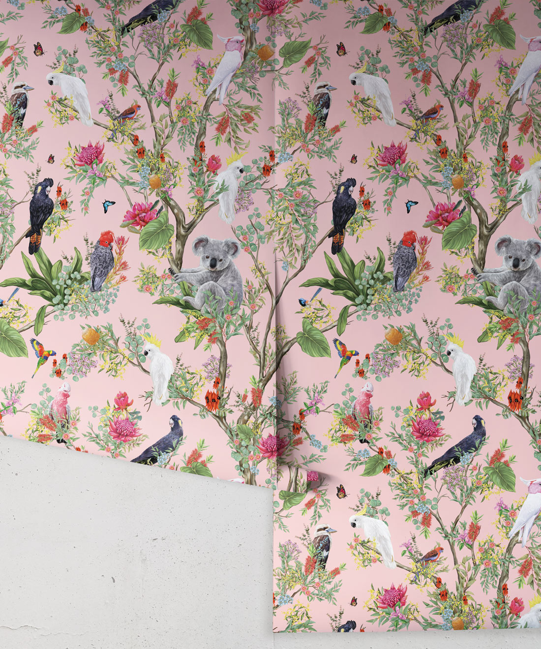 Australia Wallpaper, Coral