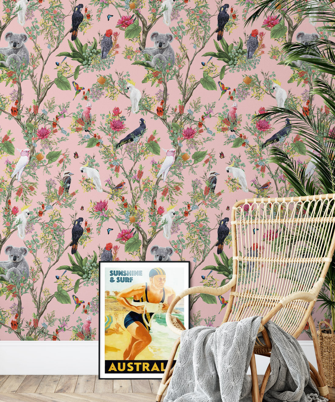 Australia Wallpaper, Coral