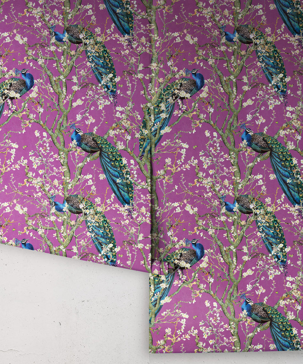 Almond Blossom Wallpaper, Eggplant