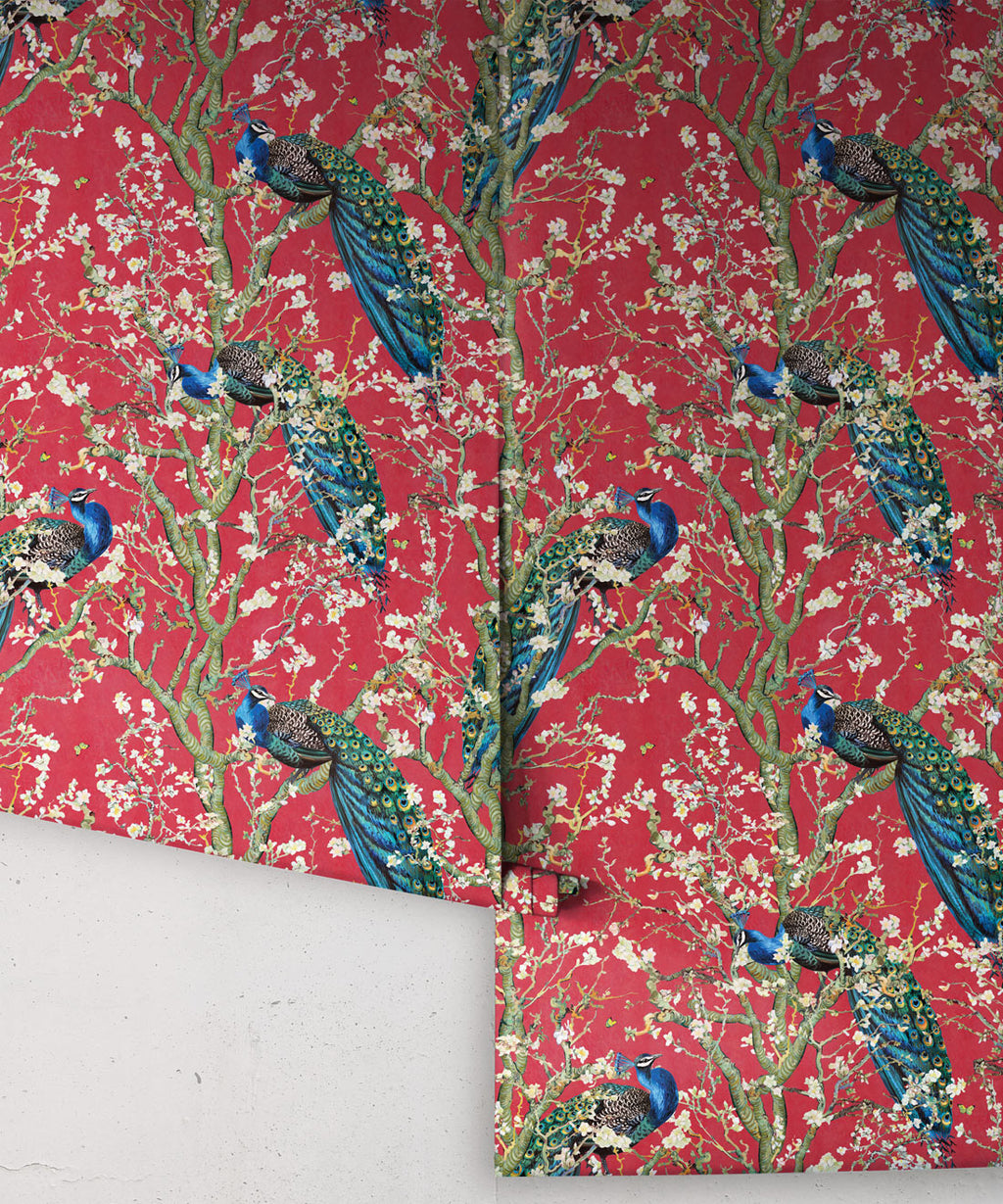 Almond Blossom Wallpaper, Red Lantern