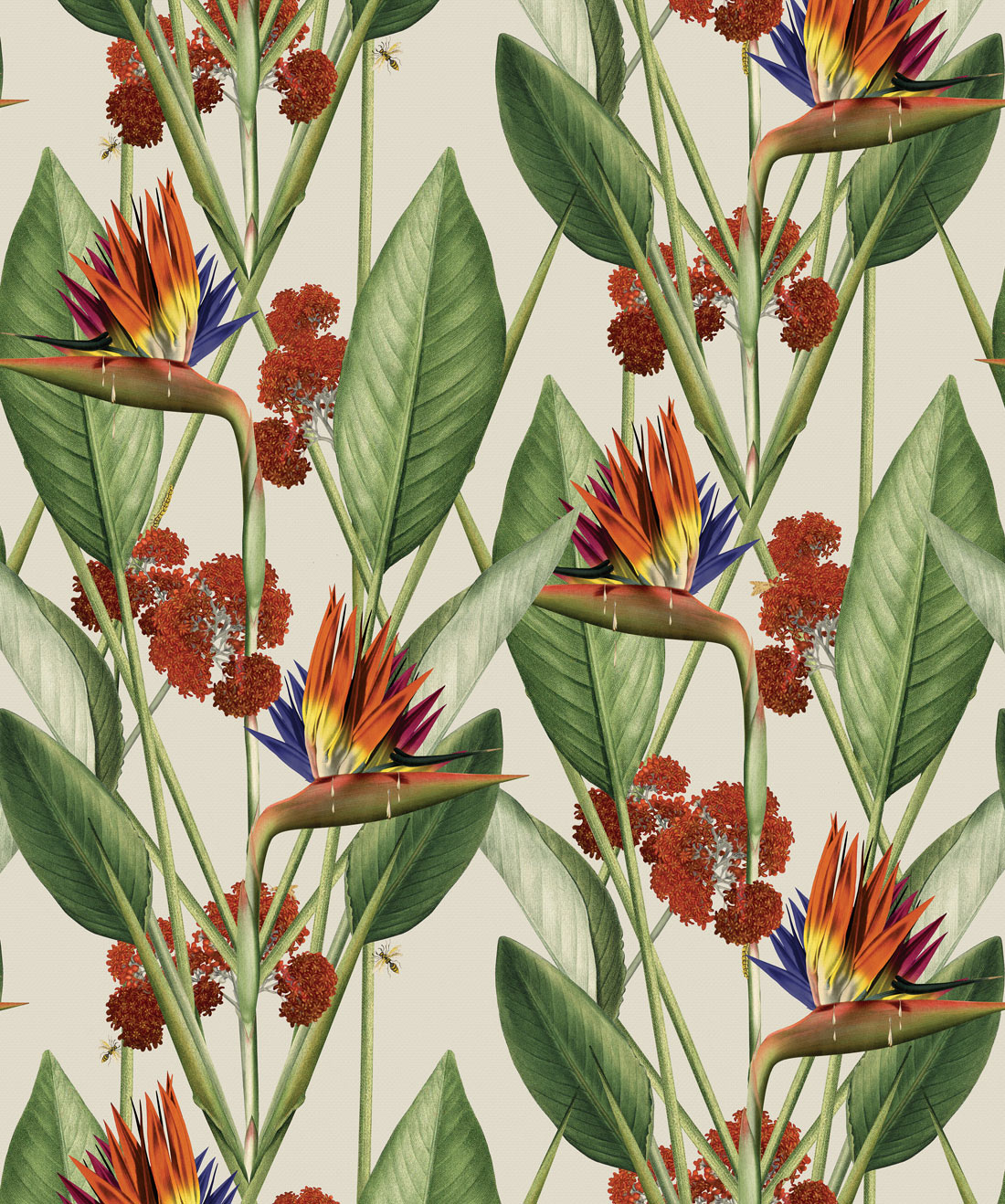 Strelitzia Wallpaper, Canvas
