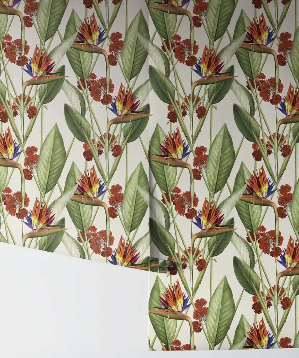 Strelitzia Wallpaper, Canvas