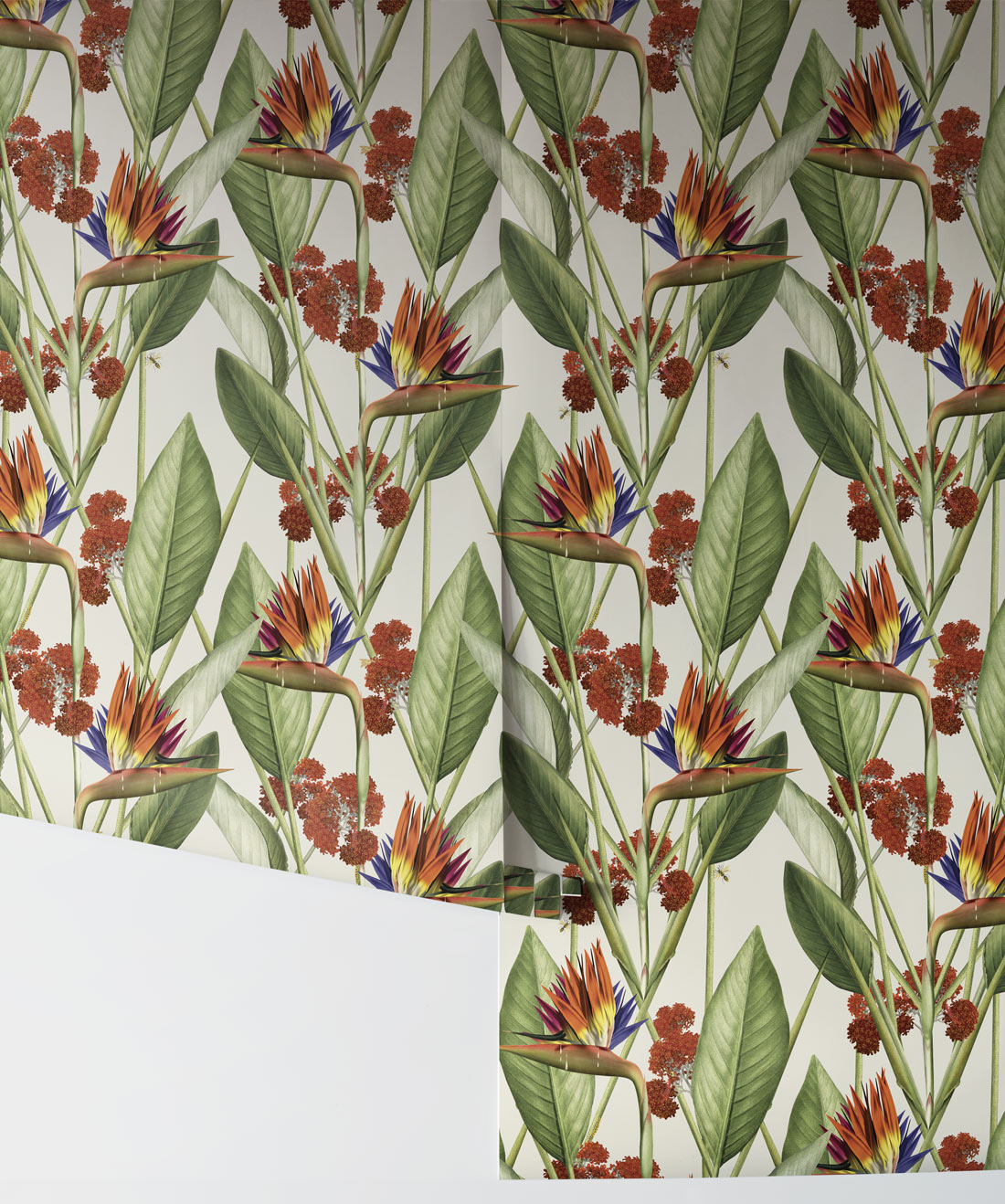 Strelitzia Wallpaper, Canvas